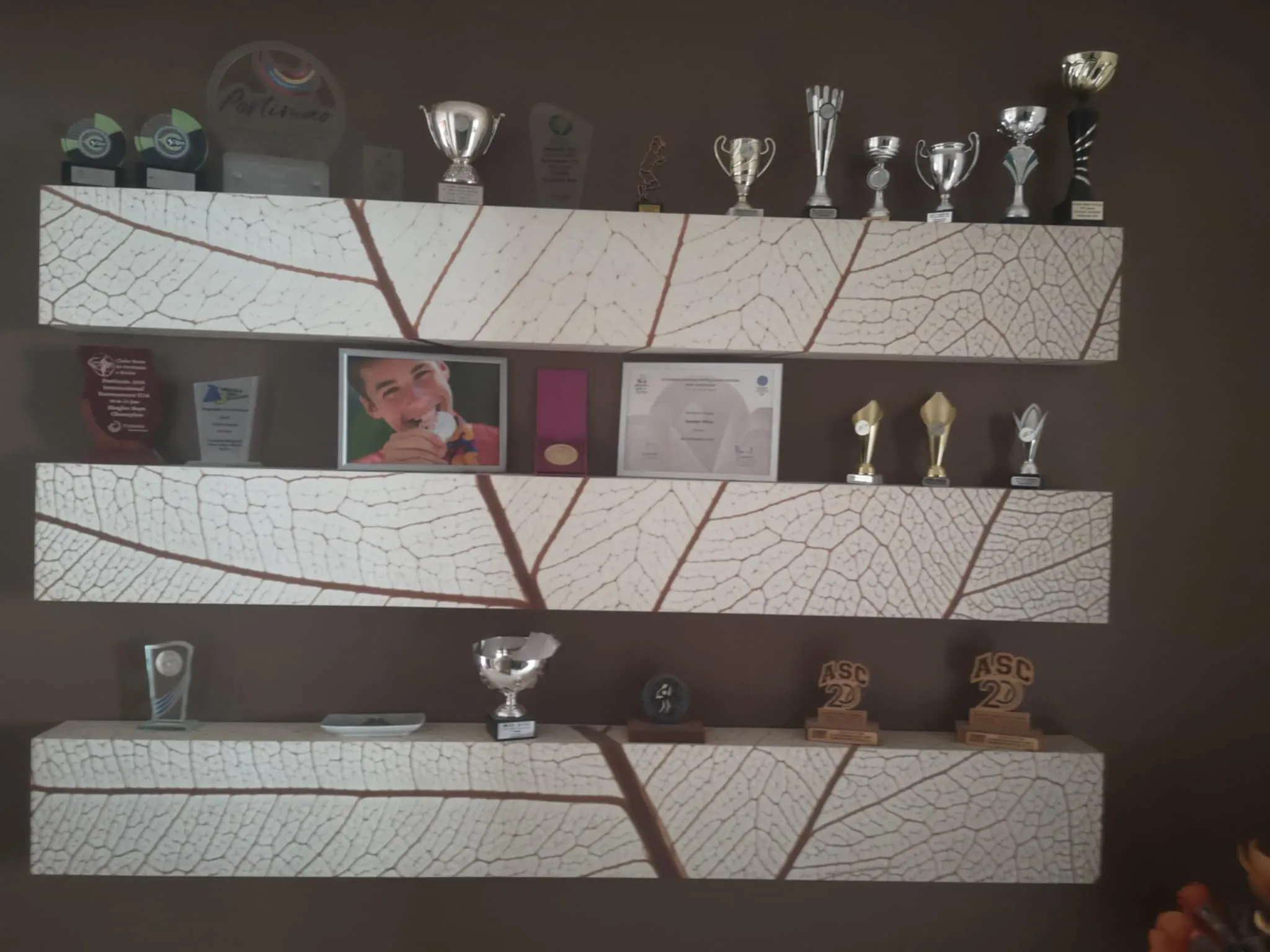 Svarbiausi karjeros trofėjai saugomi Gaubų namuose Šiauliuose