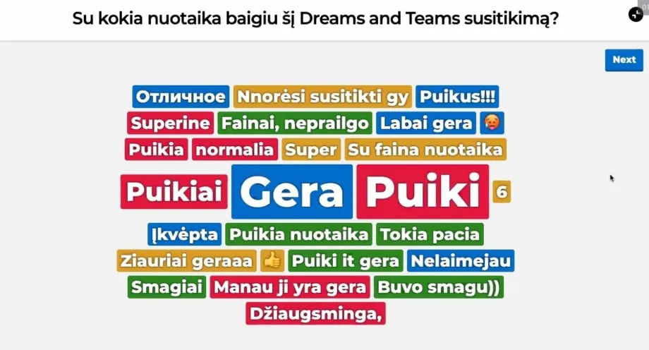 Video susitikimas jo dalyvių įvertintas PUIKIAI